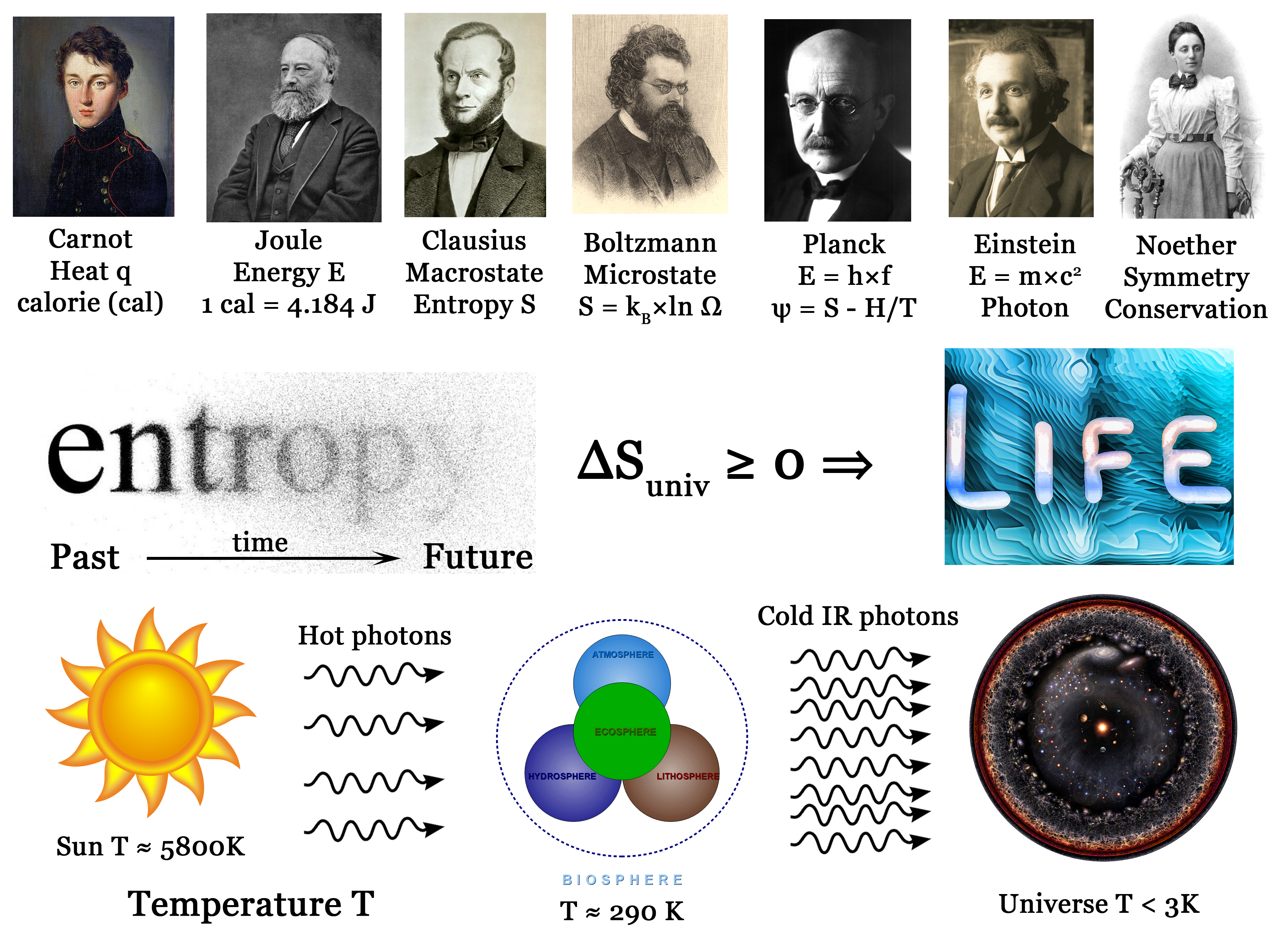 Thermodynamics of Life | Substantia